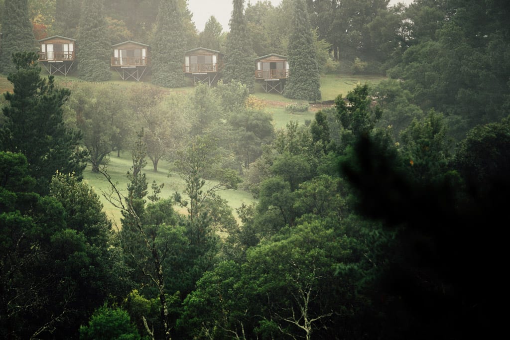 Nothing like the quiet of a bushland setting in Bilpin,in the Southern Highlands, NSW, Australia.